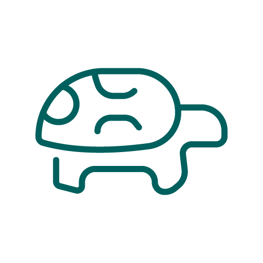 Exotic Pet Care Icon