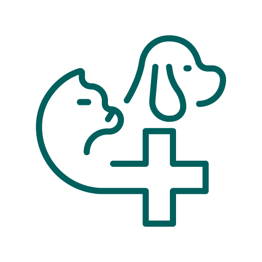 Pet Wellness Exams Icon